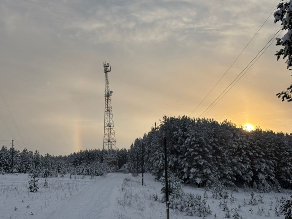 � �������� ������ �������� ������ ��������� ������� � ���� (������ ������)