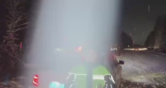 � ��� ������ ��� - �� �����