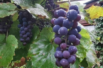 ���� � �����: ����� ��������� ��� ��������� ������� �� �������������