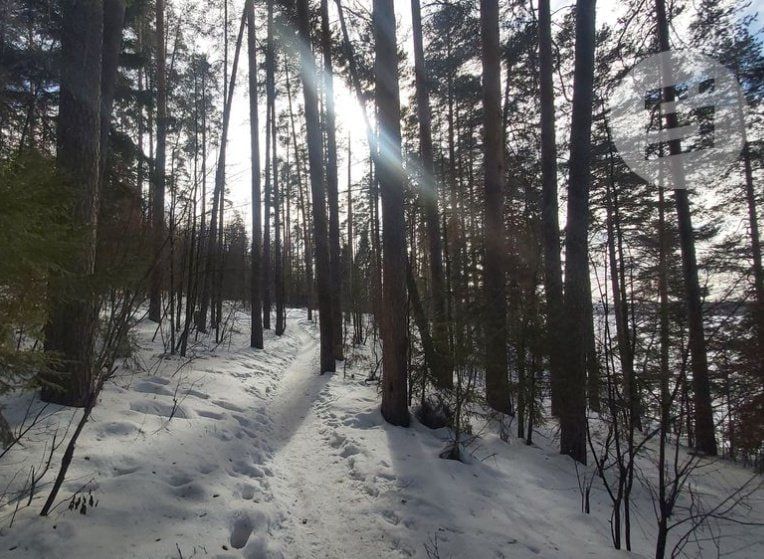 �� ����� �������� � 2025 ���� ������� 65 ����� ���������� �������� � ������� ��������