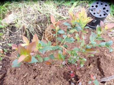 �������� �� ����� �������: ��� ��������� �����, ������� ������ ����