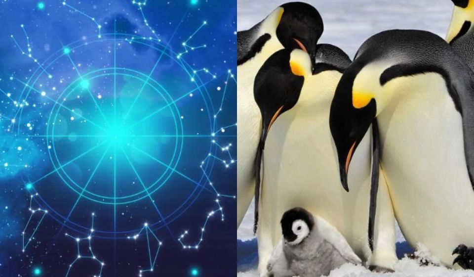 ����� ������� ������������� ������ ����� �������: ������������ ���������� ��������