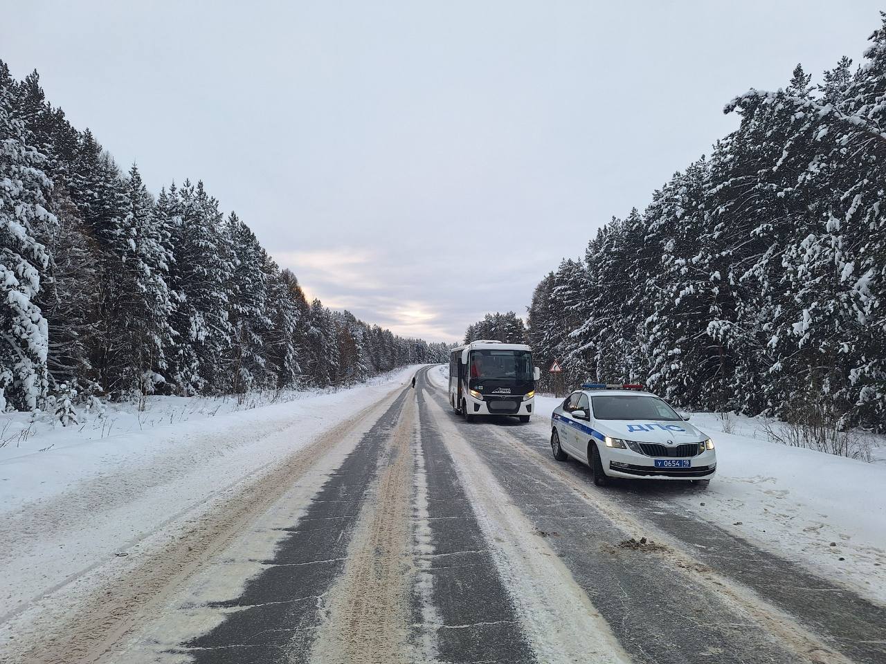 Первый день января оказался совершенно нерадостным для 18-летнего пешехода в Шарканском районе Удмуртии: ДТП, палата реанимации