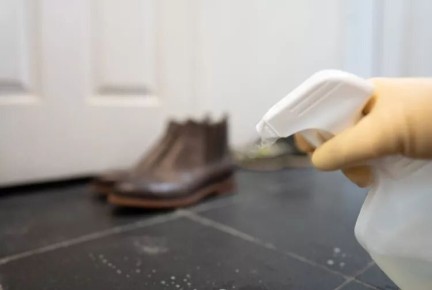 ������� ���������: ����� ����������� �� ������ ������������?