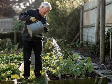 ����� � ������ ����� �� ������: ��� � ������ ��������� �� ������ �� 65 ���?