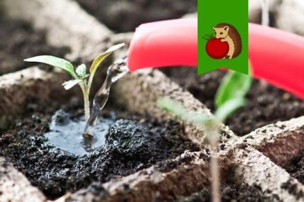 ��������� ��������� ��� �������: ������� ��������� �����