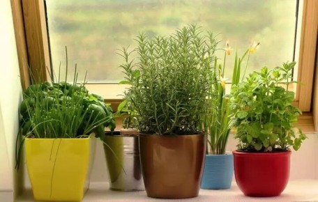 ��� ���������� ������ �� �����������: ������� ������� � ������