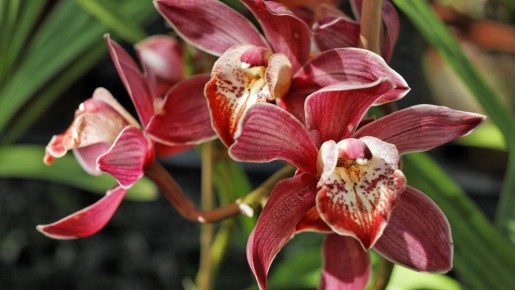 ����� ������ ����������: ��� ���������� ��������� ������ ������� ��������� �������