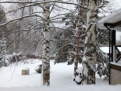 � �������� � ������ ������� ������ 2026 ���� ��������� �����������, �������� �����-������ ������������� ��������������