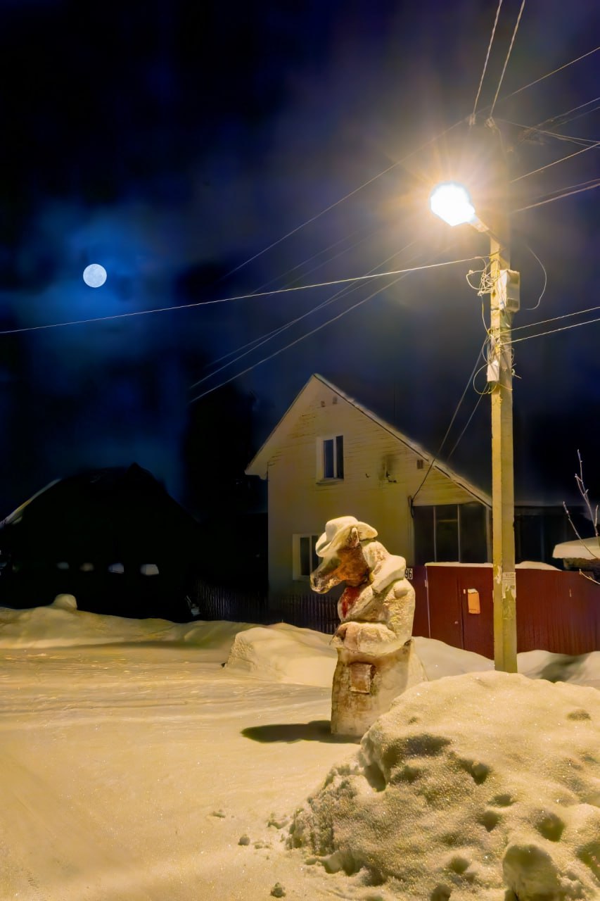 В Сарапуле появился конь в пальто В Сарапуле появился конь в пальто