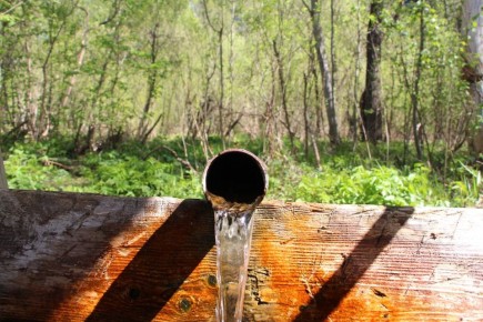 � �������������� ������ ����� ��� ������������ ������������ ������� ������� ����� ���������� �����������