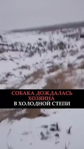 �������, ������...�����!�. ������ ������ ������ ����� ������, ������������ �� ����� �������� �� ����� ������ � ����������