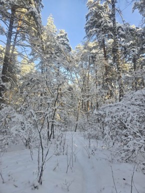 ��������� ��������: ��������� ��������� �� �������