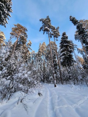 ���� ������ �� ����, �������, �����������