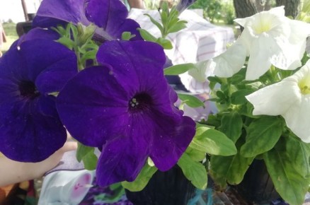 ��� ������ ������� ������: �� ��������, � ����� �������� ������ �������