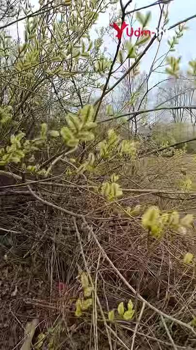 ���� ������ ���� ������ ������ ������ 2026 ���� �����