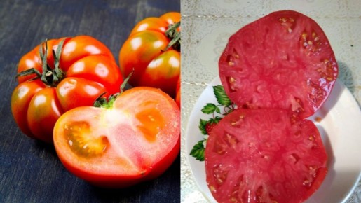 ������� ��������� ����������� �������� �������: 9 ������, ������� ��� ��������