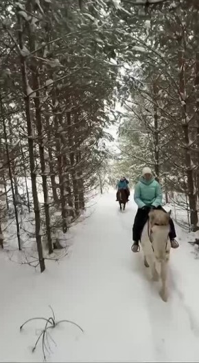 #����������_������ �������� �������, ���������� �������������� ��� ��������������� ������