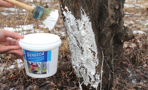 ����������� ������ �� ����: ��� ����������� ��� � ����