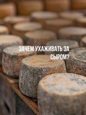 ������� ���������� ����� �� �����