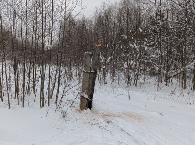 � ���������� ������ �������� ���������, ���������� �������� ����� ��������� �������� � ����� ��������������