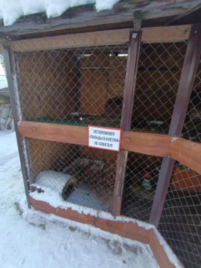 ����-������� � ������� ������� ��� �������� � � �����������