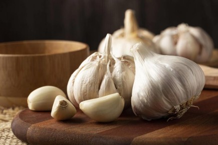 ������ ������ ������ ����� ����� ���������� ���������