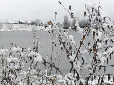 ������� �� �������� 26 ������ ������� ��������� ����, �������� ��� ��������