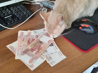 ��� ��������� � ����������� ����������: ������ ��� �����������