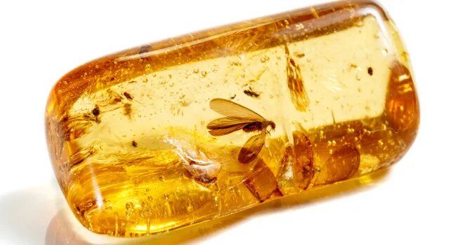 Понимание консервантов