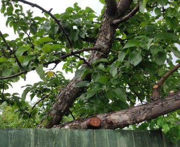 ��� ������, ���� ������� ������� ����� ��� �������?