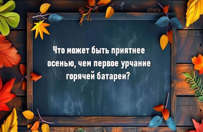 Осень в юморе: шутки и анекдоты для поднятия настроения