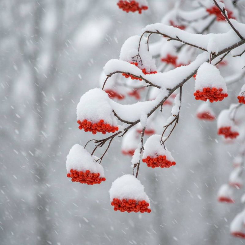 29 ������ � ������� ��������� ������� ����