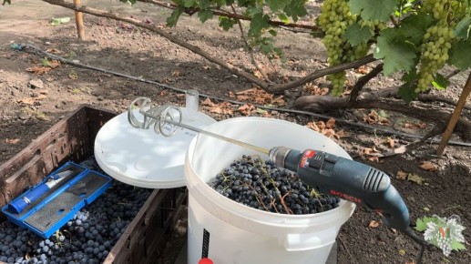 ��� ������ � ������ ����������� ���� � �������� ��������