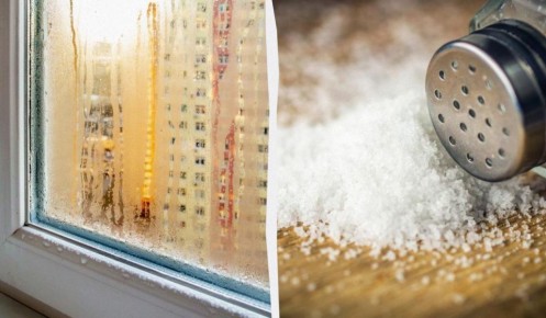 ������ � ����� ���� �� ����: ��� �� ����� ���� ������� ��� ��������