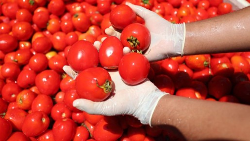 ������������� ���� ������� �������� ����� � ������: ������ ���� ��� ����