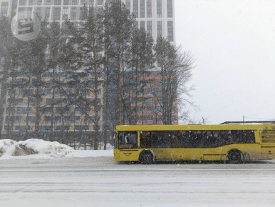 �� ������������ ������� 29 ������ ��������� �������� ������ ���������� �������, �������� ������������ �������������