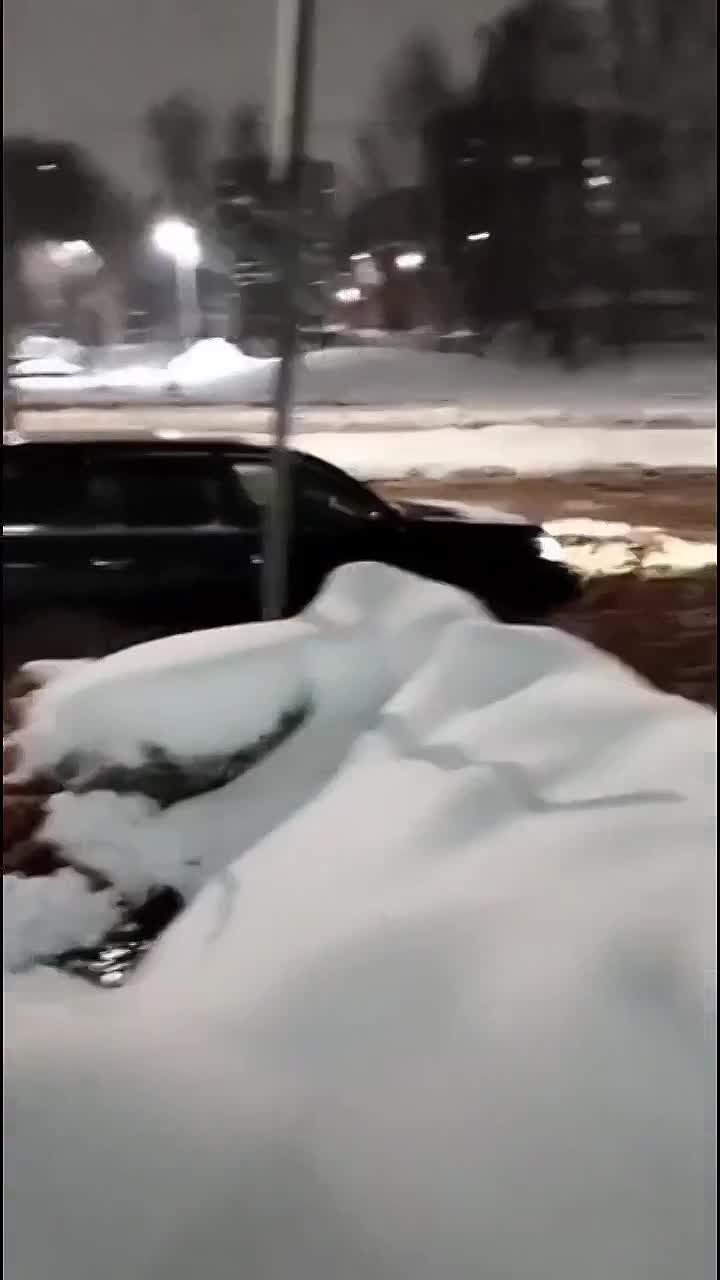 Всё, иллюзий не осталось. Затяжной снегопад ясно показал: ресурсов недостаточно