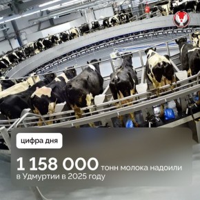 ��� ��������� ������ ������������������, ���������� �������� � ������ �������� ���������� � +6,8% � ������ 2024 ����