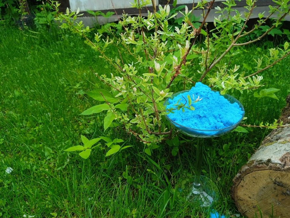 Как выбрать между медным и железным купоросом для успешной осенней обработки сада