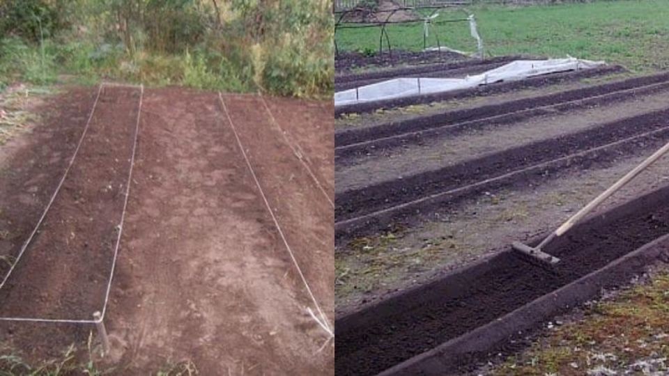 Как легко размечать узкие грядки: 4 инструмента для успеха на даче