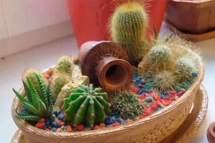 ��� ��������� �� ������������ ���������: ������ � �������