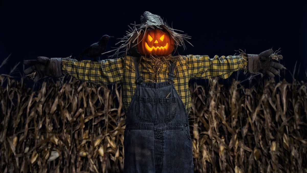 Забавная история о том, как защитить урожай