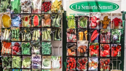 ��� ��������� ������� ������: ���� ������� ��������� ��� ��������� ������