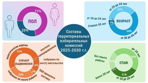 Как выглядит член территориальной комиссии