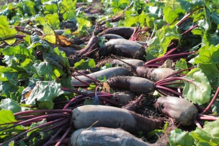 ������� ������� �������� ������: ��� ��������� ������ �� �����