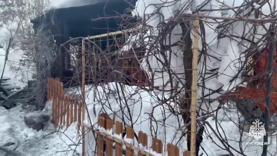 6 ������� � �������� ��� �������� ��������� �����, ��������� �������