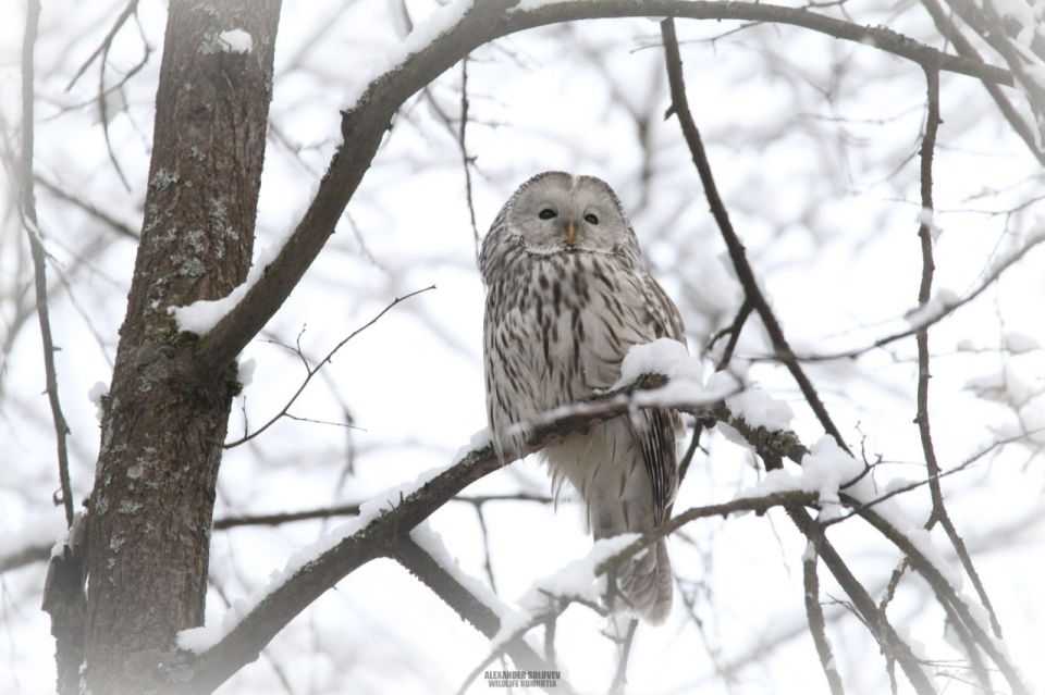 ����� �����������? ��������� ��� ��� �� �����������, ��� ��� �������