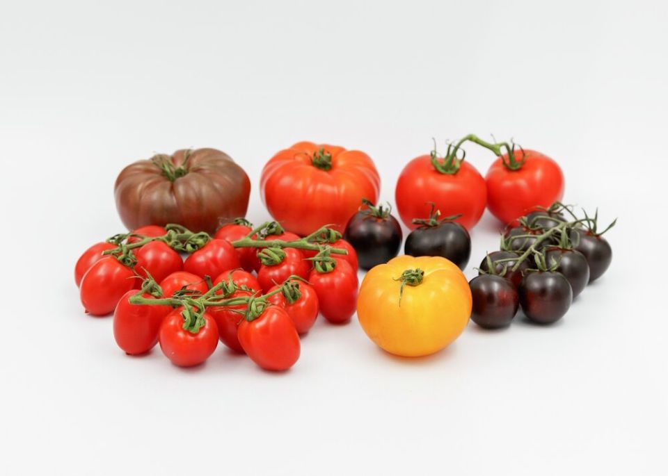 ������ �� ����� ����: ��� ������� ������ �� ����� � �����