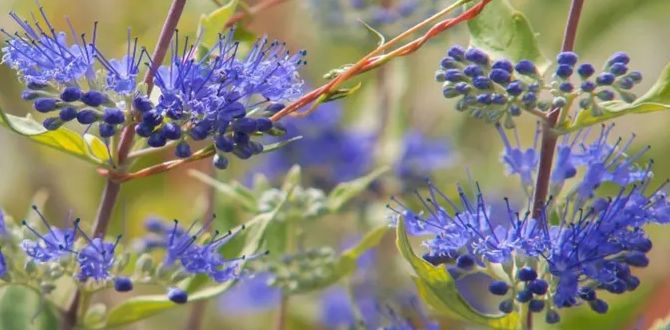 ����������� � ����� ����� � ���� ��� ������ ������